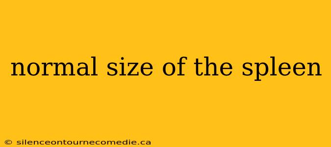 normal size of the spleen