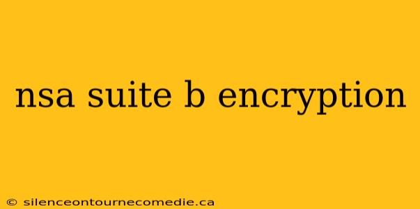 nsa suite b encryption