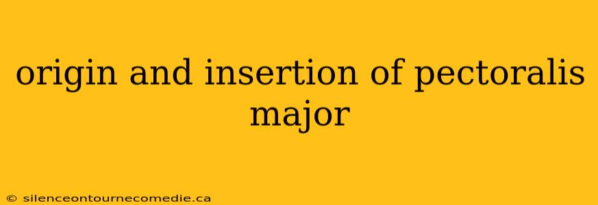 origin and insertion of pectoralis major