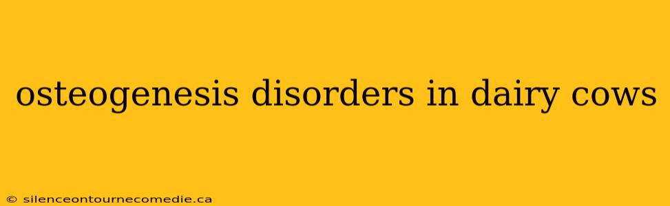 osteogenesis disorders in dairy cows