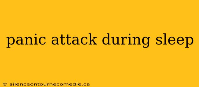 panic attack during sleep