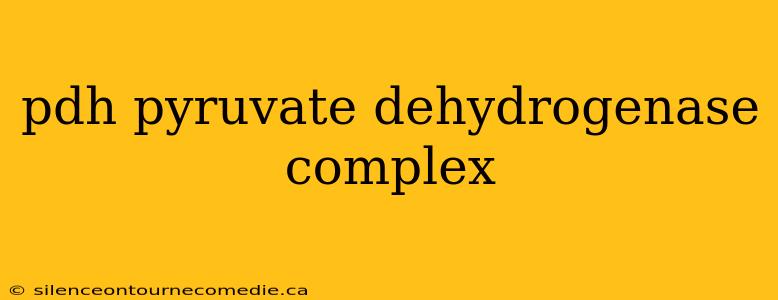 pdh pyruvate dehydrogenase complex