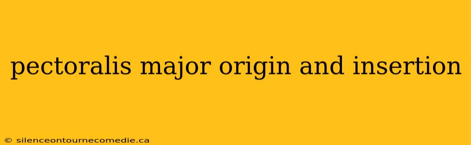 pectoralis major origin and insertion