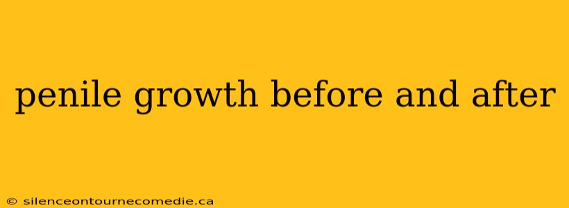 penile growth before and after