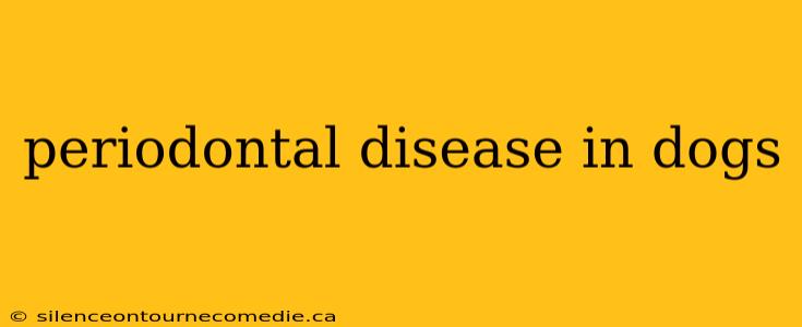 periodontal disease in dogs
