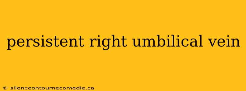 persistent right umbilical vein
