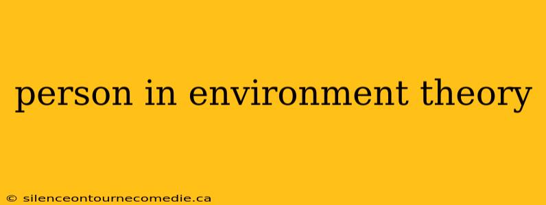 person in environment theory