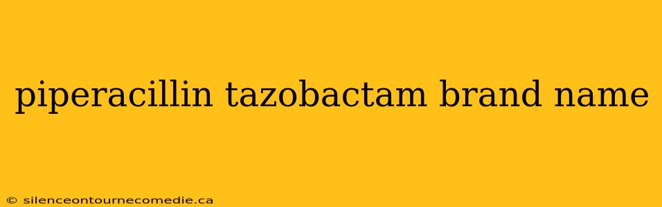 piperacillin tazobactam brand name