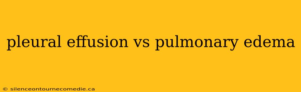 pleural effusion vs pulmonary edema