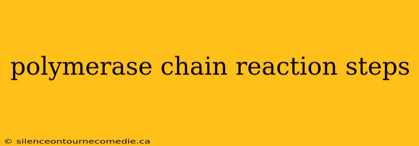 polymerase chain reaction steps