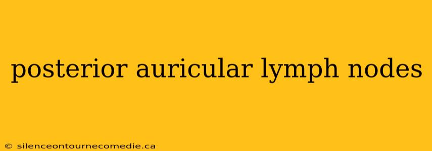 posterior auricular lymph nodes