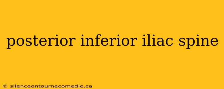 posterior inferior iliac spine