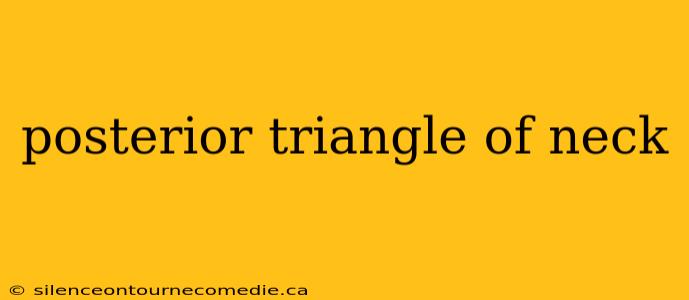 posterior triangle of neck