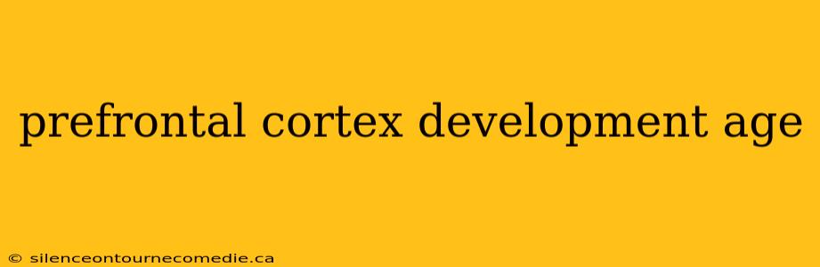 prefrontal cortex development age