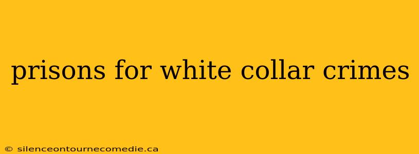 prisons for white collar crimes