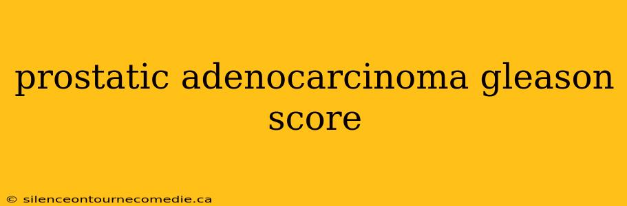 prostatic adenocarcinoma gleason score