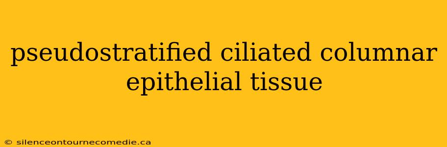 pseudostratified ciliated columnar epithelial tissue