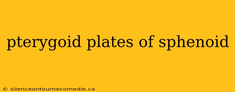 pterygoid plates of sphenoid