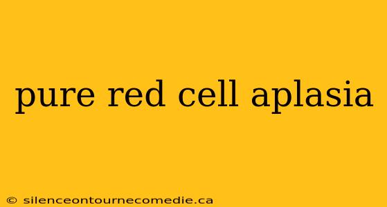 pure red cell aplasia
