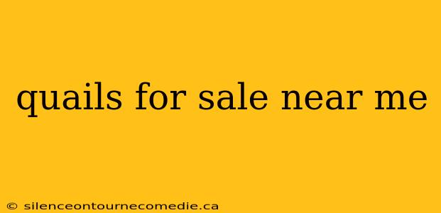 quails for sale near me