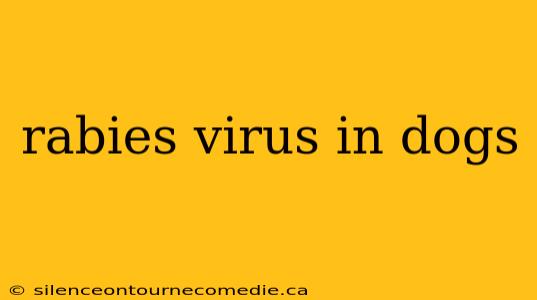 rabies virus in dogs