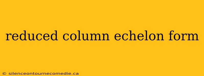 reduced column echelon form
