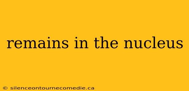 remains in the nucleus