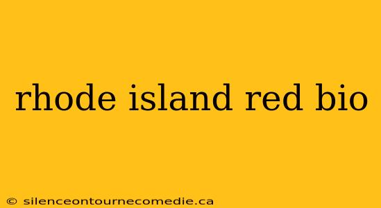 rhode island red bio