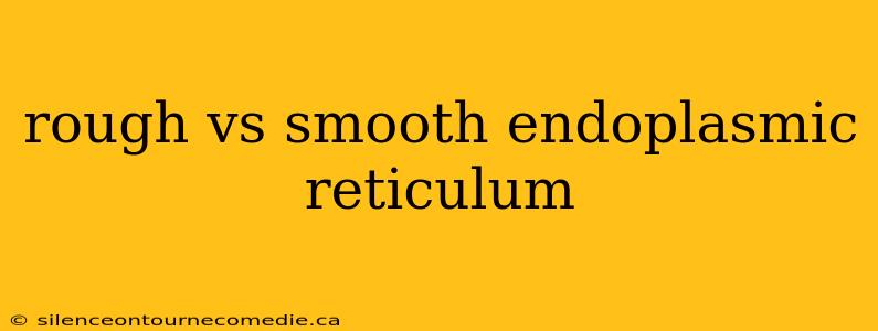 rough vs smooth endoplasmic reticulum