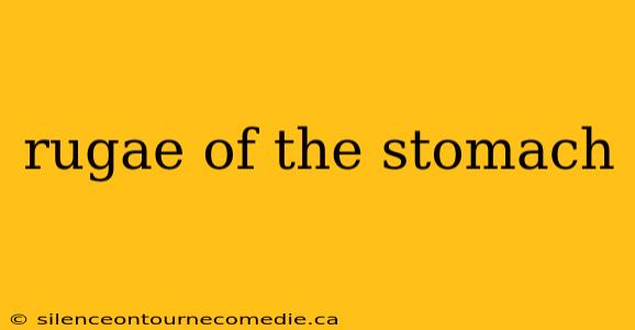 rugae of the stomach