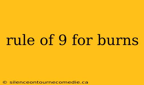 rule of 9 for burns