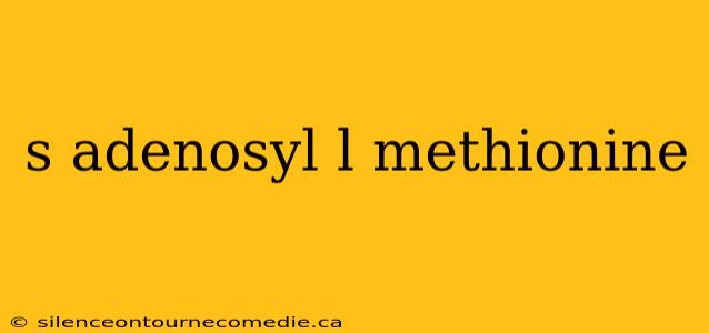 s adenosyl l methionine