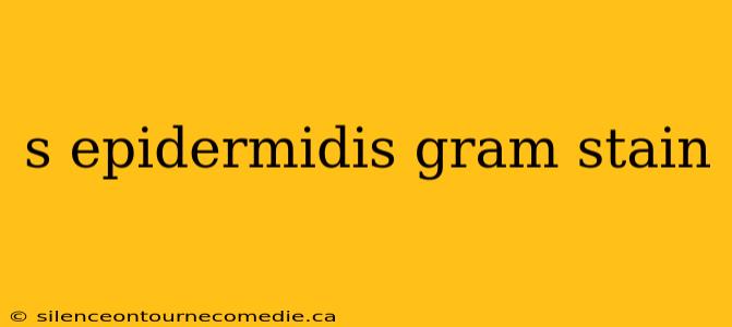 s epidermidis gram stain