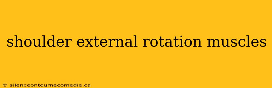shoulder external rotation muscles