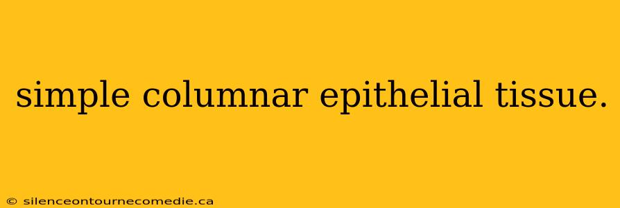 simple columnar epithelial tissue.