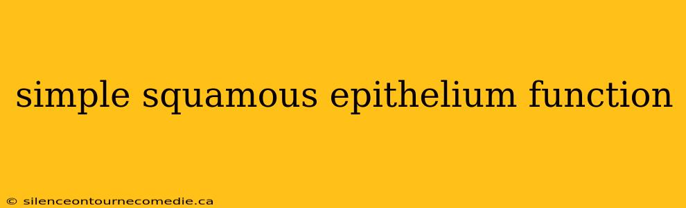 simple squamous epithelium function