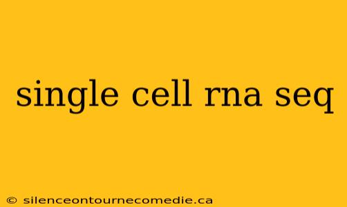 single cell rna seq