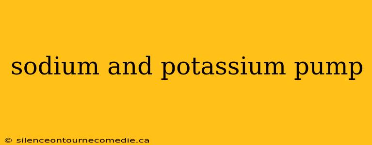 sodium and potassium pump