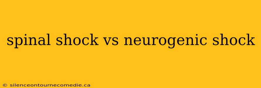 spinal shock vs neurogenic shock
