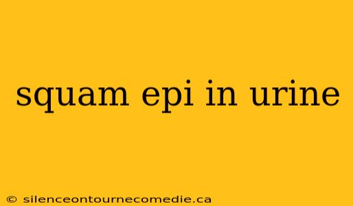squam epi in urine
