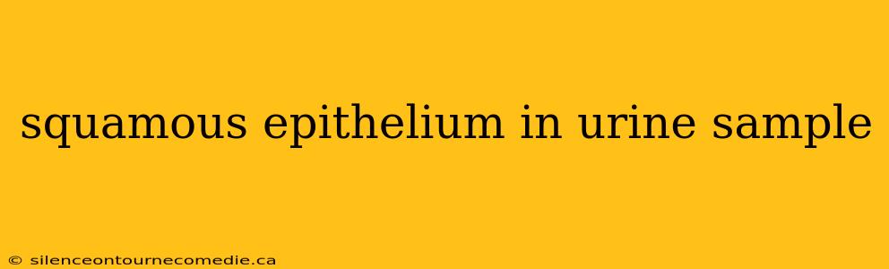 squamous epithelium in urine sample