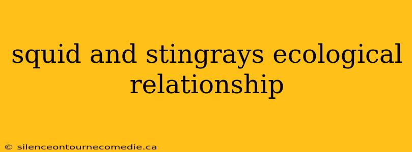 squid and stingrays ecological relationship