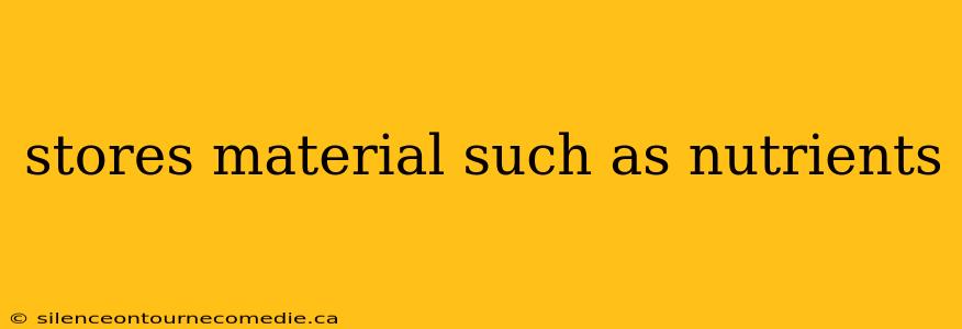 stores material such as nutrients