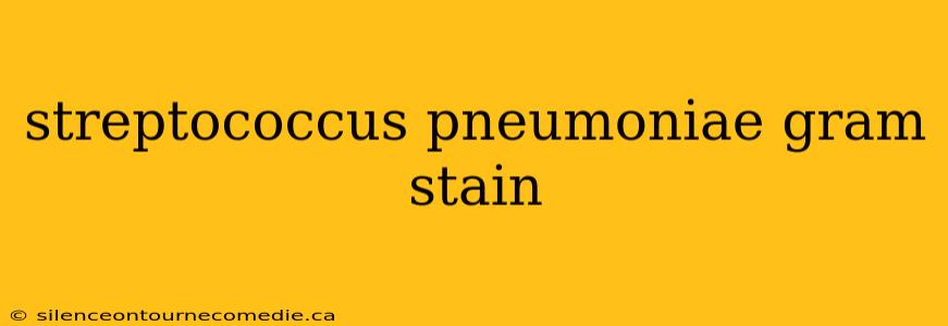 streptococcus pneumoniae gram stain