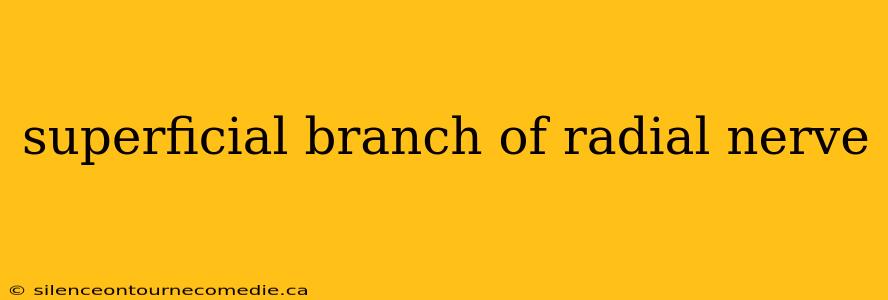 superficial branch of radial nerve