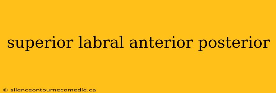 superior labral anterior posterior