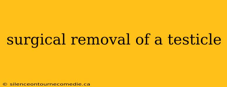 surgical removal of a testicle