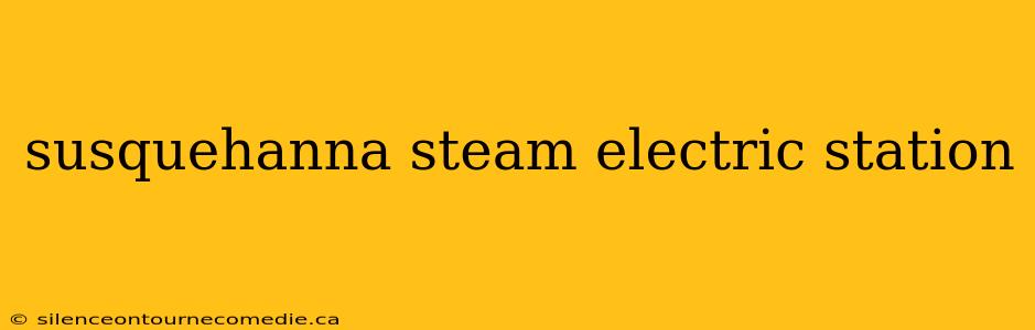 susquehanna steam electric station