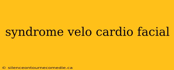 syndrome velo cardio facial
