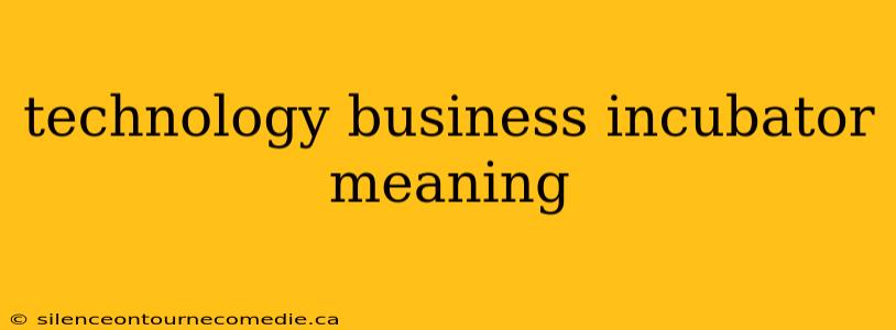 technology business incubator meaning